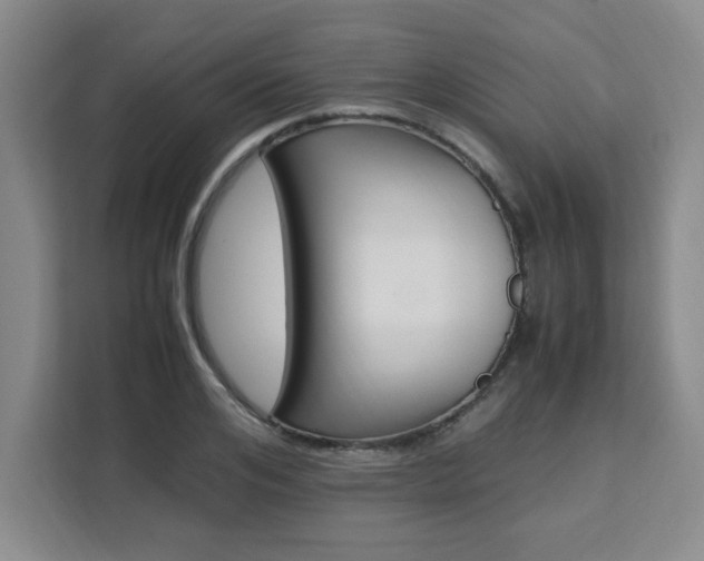 X0000111530984200907141253