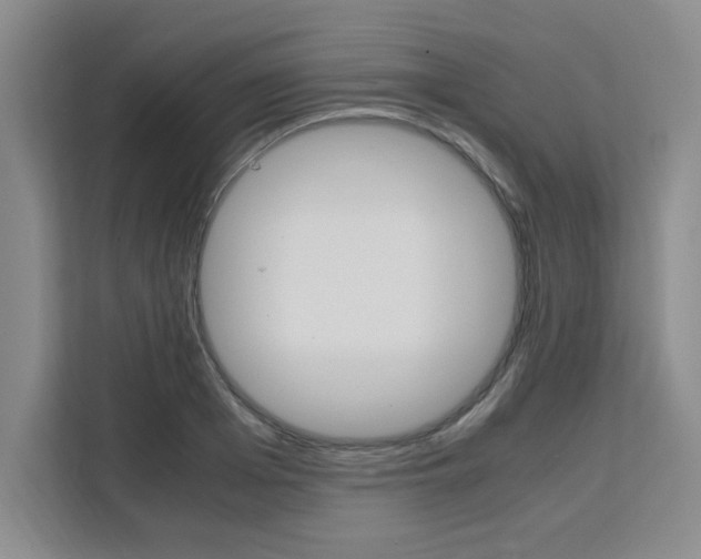 X0000111530985200907141253