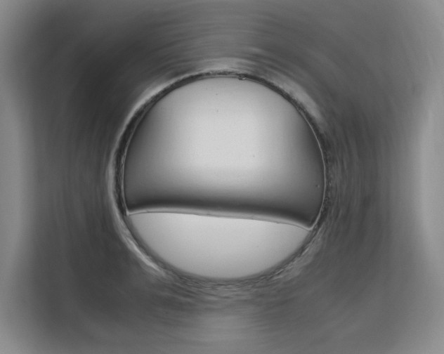 X0000111530991200907141253