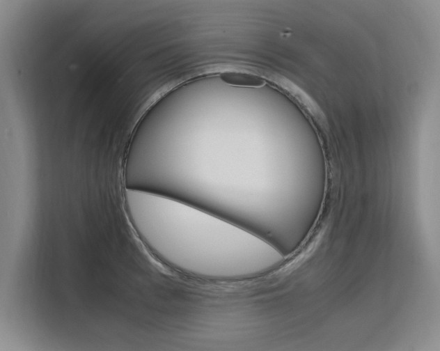 X0000111530993200907141253