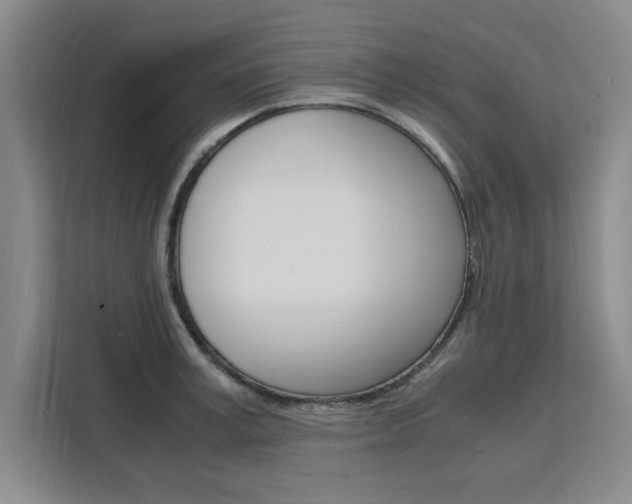 X0000111530995200907141253