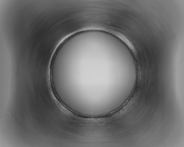 X0000111530996200907141253