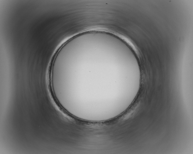 X0000111530999200907141253