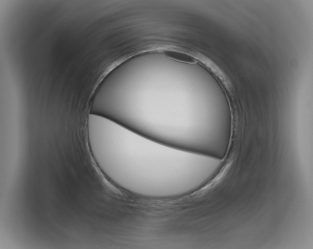 X0000111531001200907141253