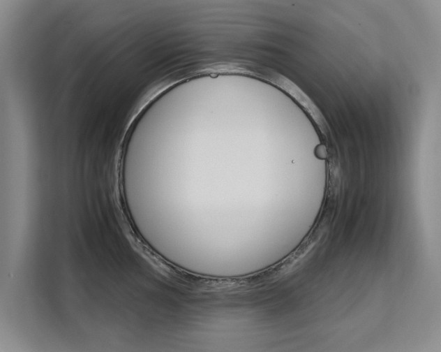 X0000111531002200907141253