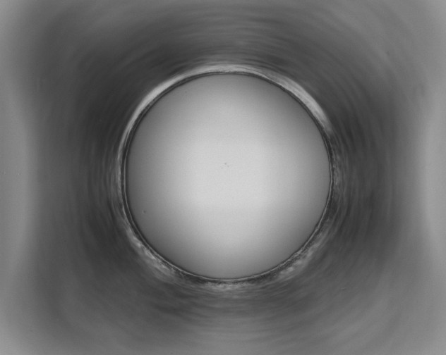 X0000111531004200907141253