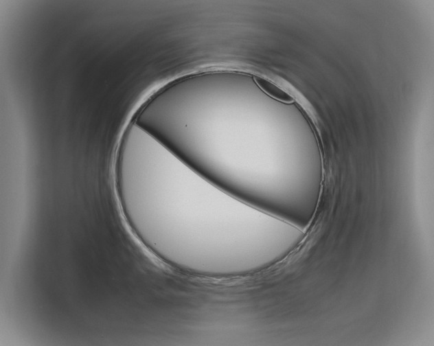 X0000111531005200907141253