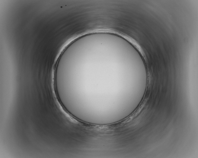X0000111531006200907141253
