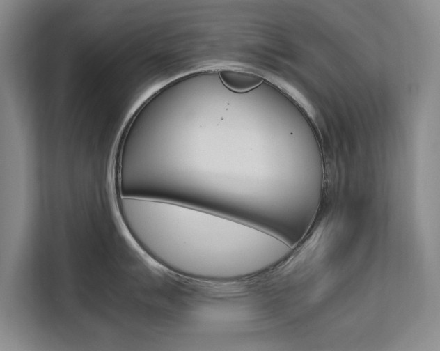X0000111531007200907141253