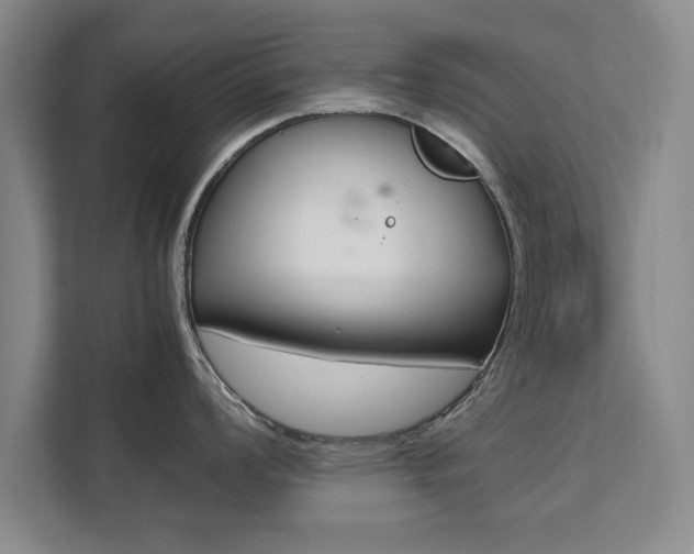 X0000111531008200907141253