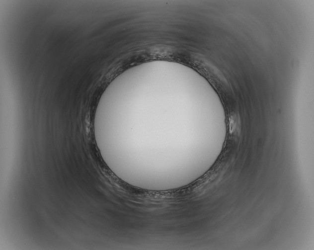 X0000111531011200907141252