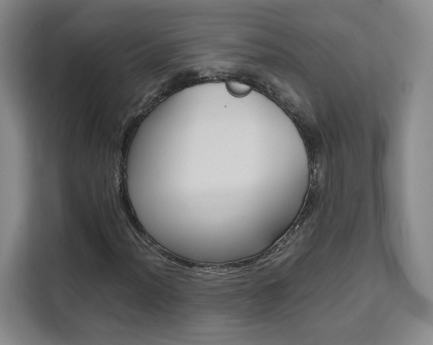 X0000111531012200907141252
