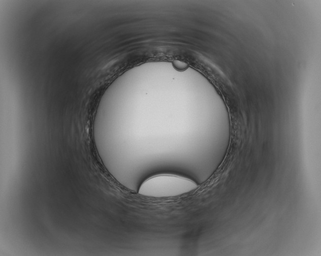 X0000111531013200907141252