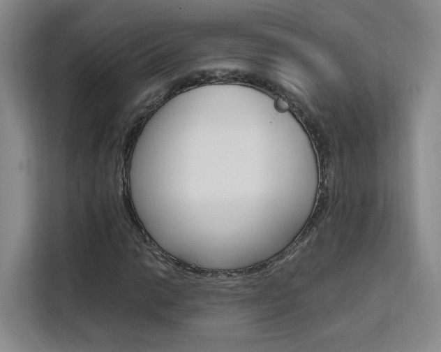 X0000111531014200907141252