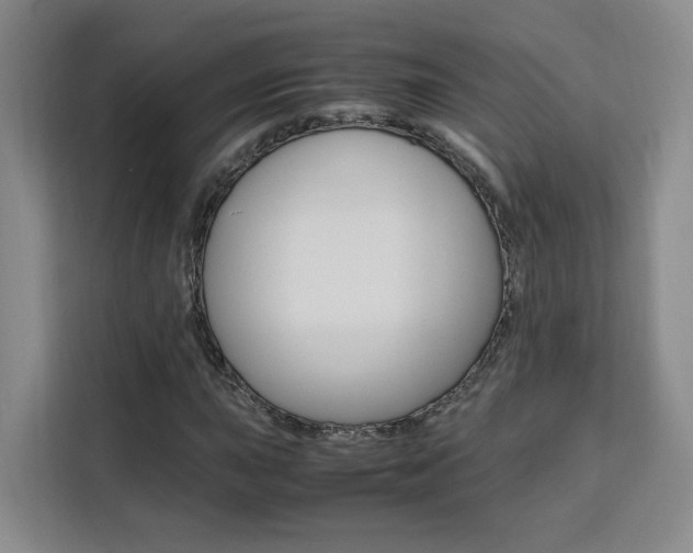 X0000111531015200907141252