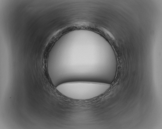 X0000111531016200907141252
