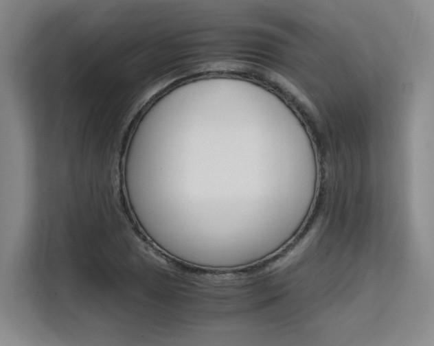 X0000111531025200907141252