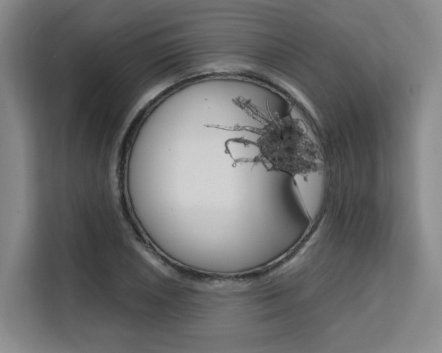 X0000111531026200907141252