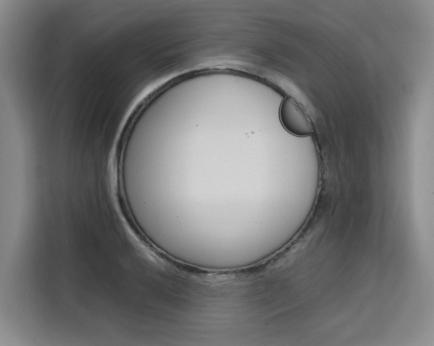 X0000111531032200907141252