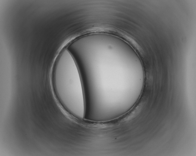 X0000111531034200907141252