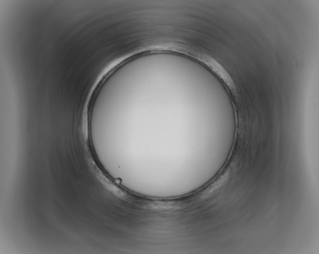 X0000111531036200907141252