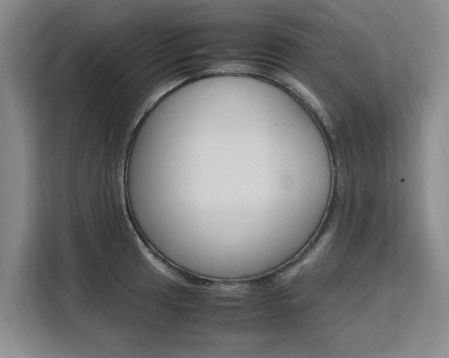 X0000111531041200907141253