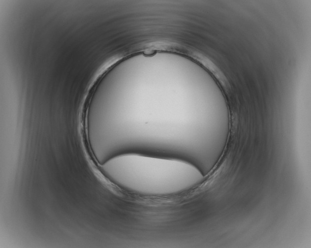 X0000111531042200907141253