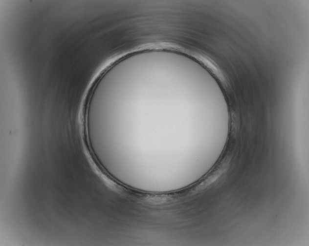 X0000111531046200907141253
