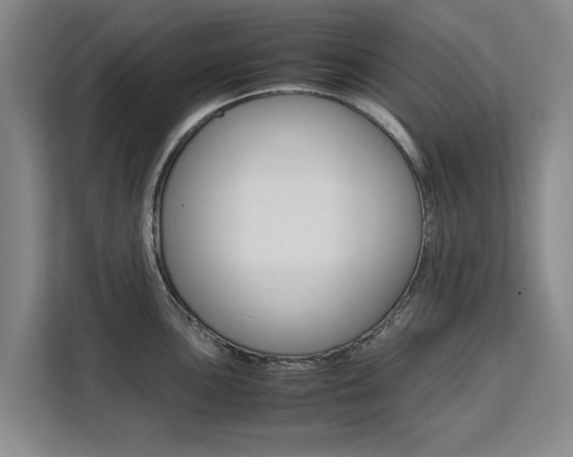 X0000111531051200907141253