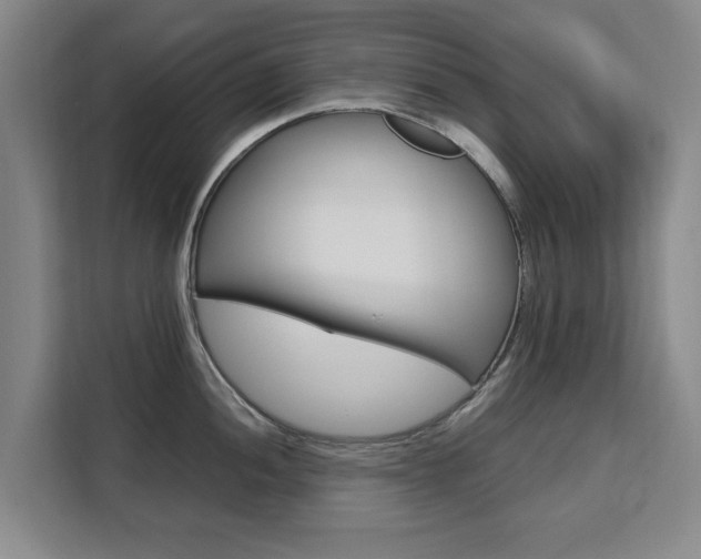 X0000111531052200907141253