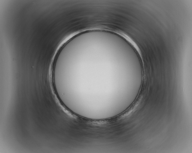 X0000111531053200907141253