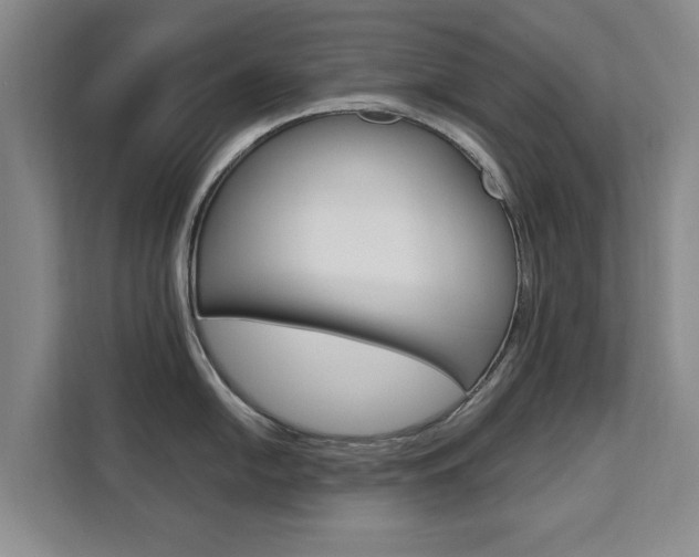 X0000111531054200907141253