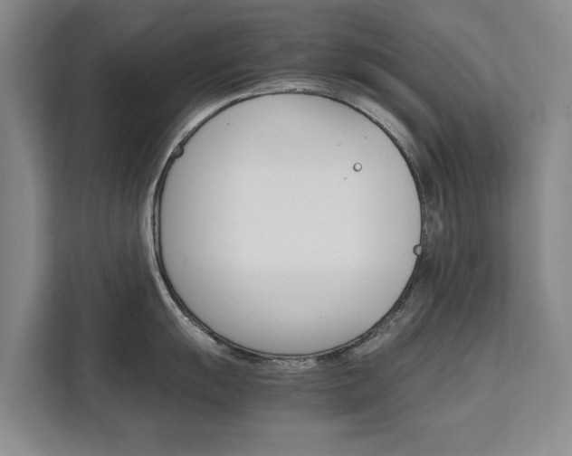 X0000111531055200907141253