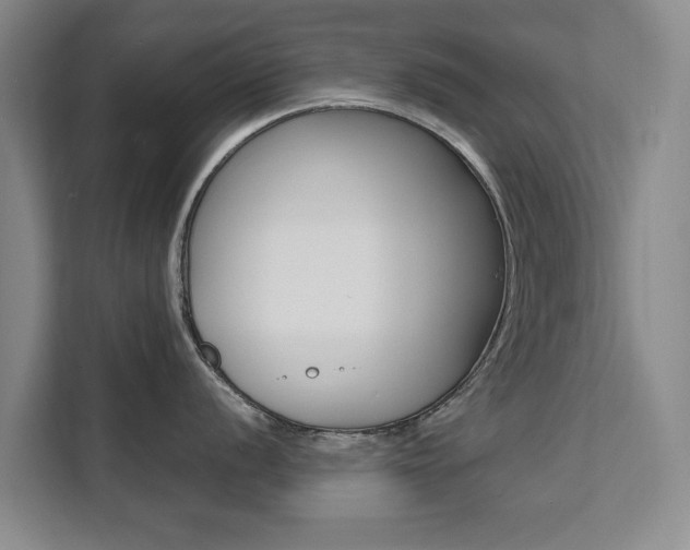 X0000111531056200907141253