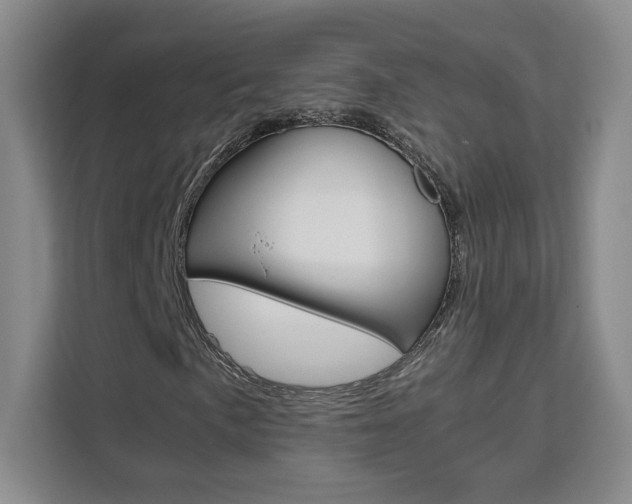 X0000111531057200907141252