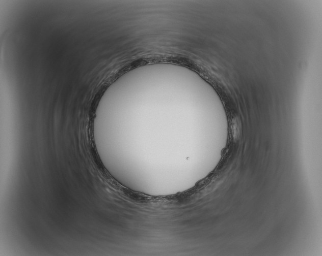 X0000111531059200907141252