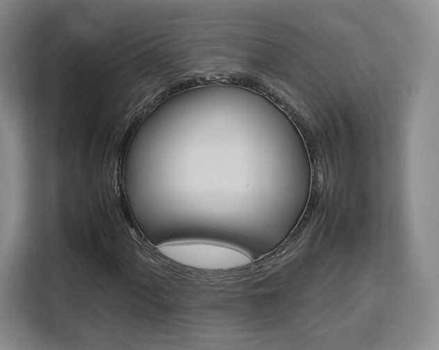 X0000111531060200907141252