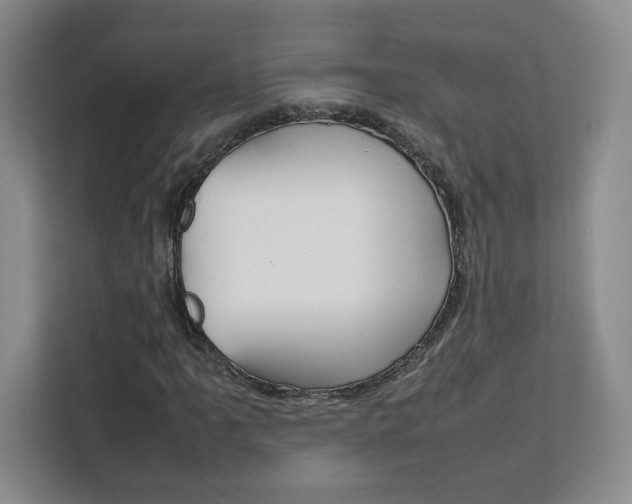 X0000111531061200907141252