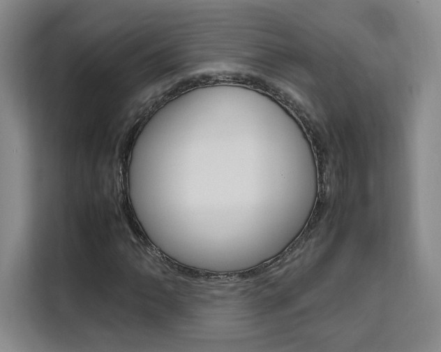 X0000111531062200907141252
