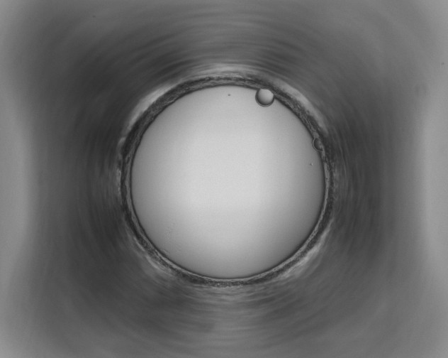 X0000111531066200907141252