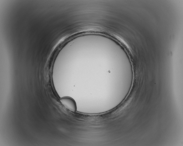 X0000111531067200907141252