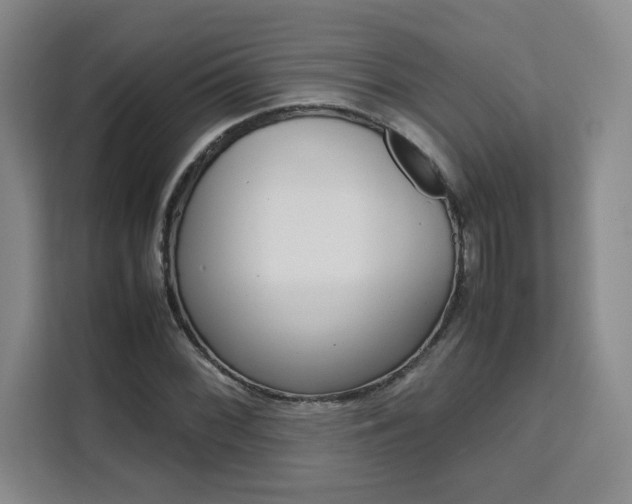 X0000111531068200907141252