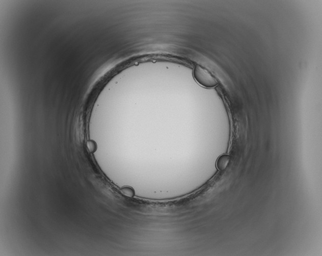 X0000111531069200907141252