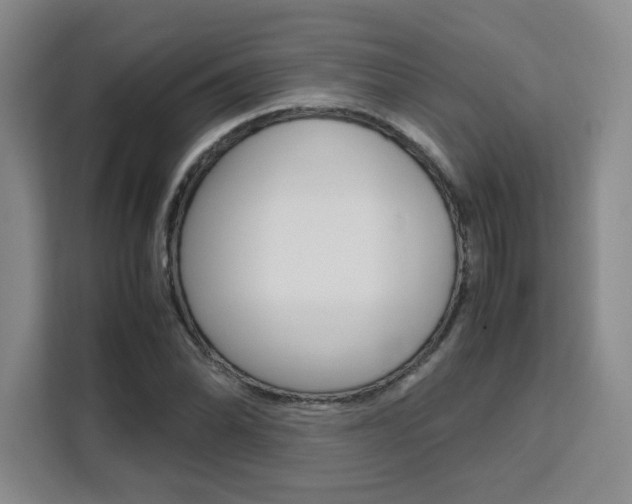 X0000111531070200907141252