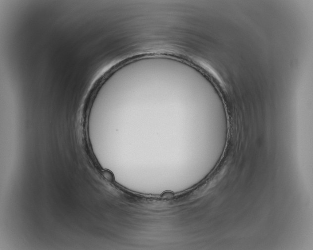 X0000111531071200907141252