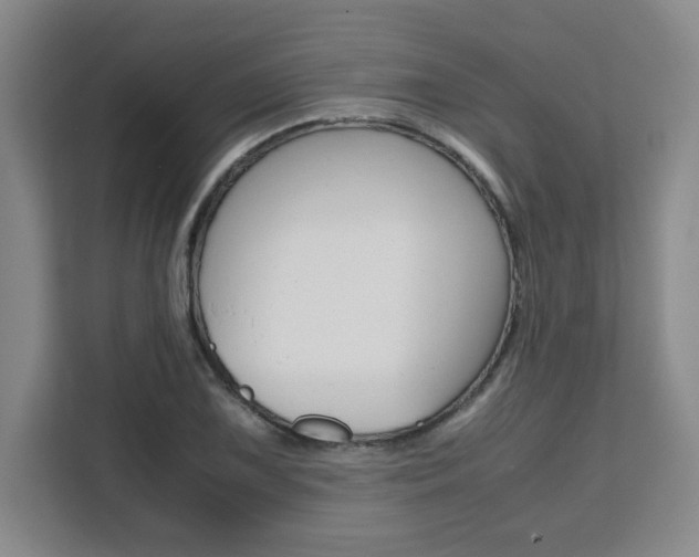X0000111531075200907141252