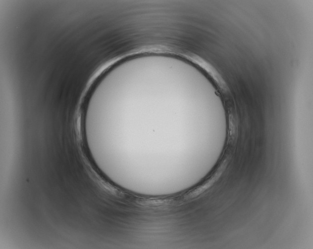 X0000111531078200907141252