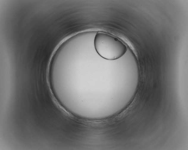 X0000111531080200907141252