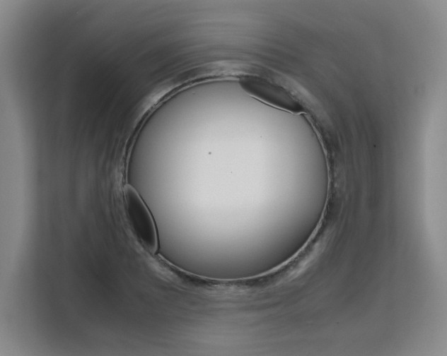 X0000111531081200907141252