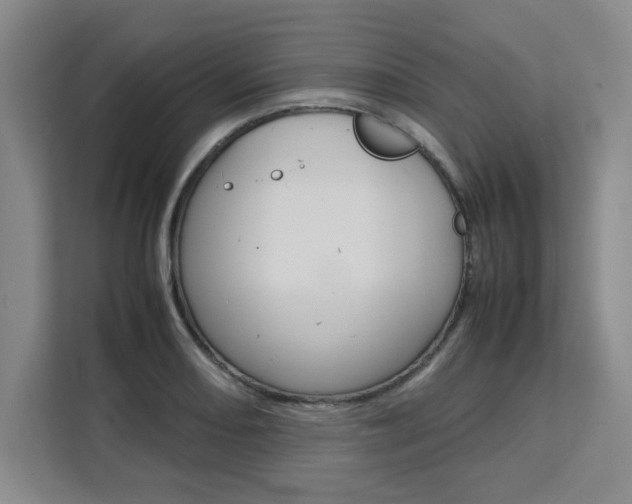 X0000111531082200907141252